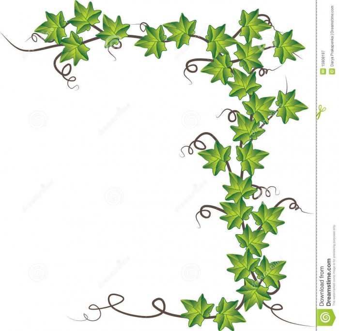 700x684 Ivy Border Clipart Vector, Clipart
