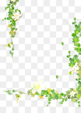 260x360 Ivy Border Png
