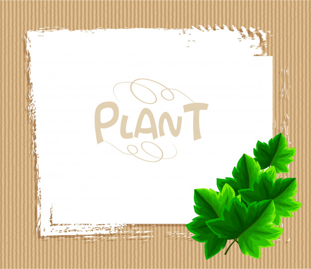 626x540 Border Template With Ivy Leaves Vector Premium Download