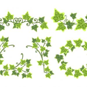 300x300 Pastel Green Background Ivy Vine Border Faint Distressed Grunge