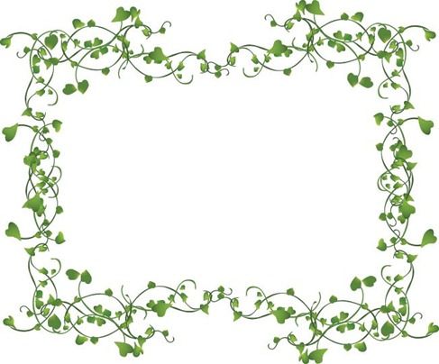 487x404 Decorative Ivy Vine Name Vines Frame Vector Assorted Ivy Vine