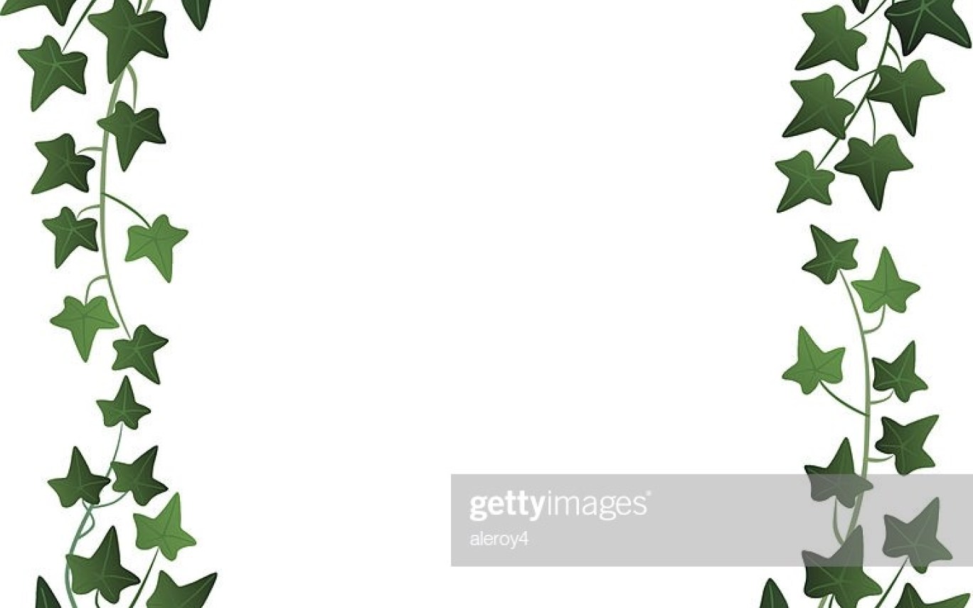 Ivy Border Vector At Collection Of Ivy Border Vector Free For Personal Use 5202