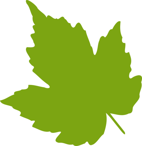 Green Maple Leaf Vector Image 488x500 Green Maple Leaf Vector Image