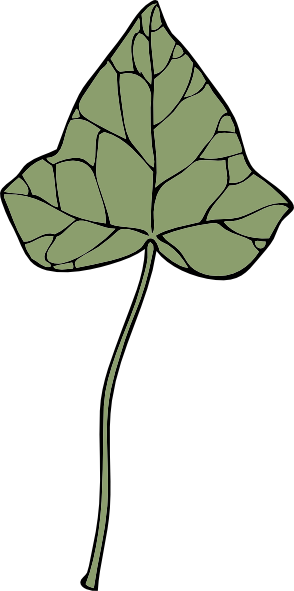 Ivy Leaf Clip Art 294x591 Ivy Leaf Clip Art
