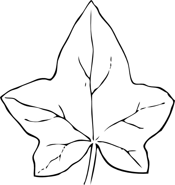 Ivy Leaf Clip Art Free Vector In Open Office Drawing 564x595 Ivy Leaf Clip Art Free Vector In Open Office Drawing