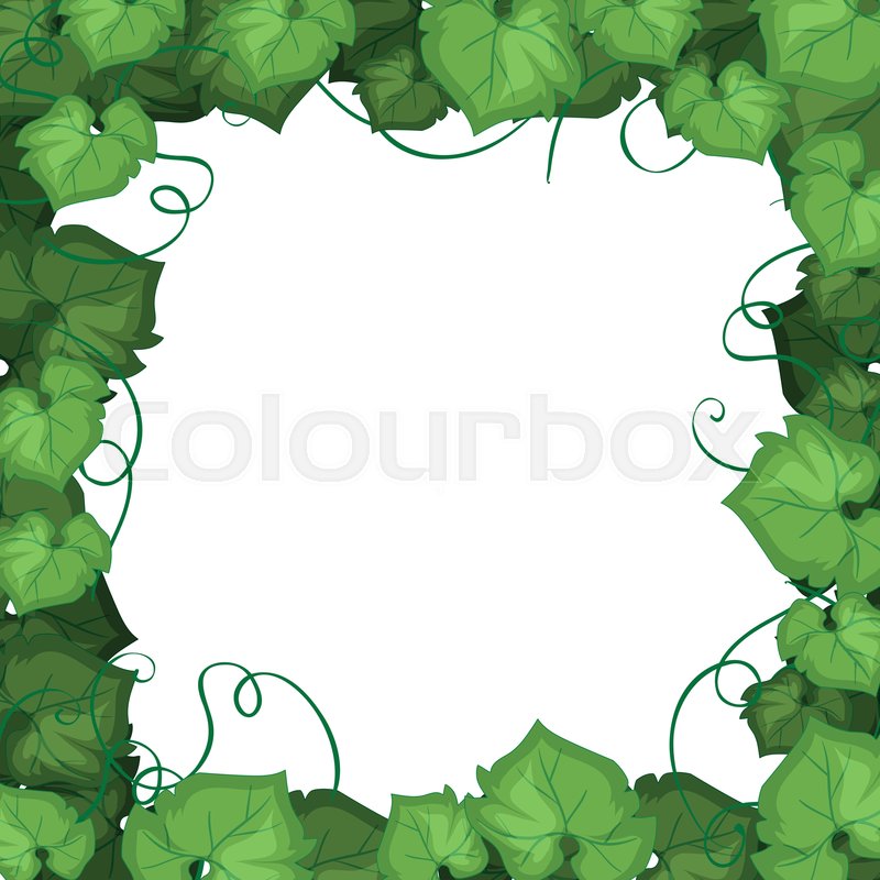 An Ivy Leaf Border Illustration Stock Vector Colourbox 800x800 An Ivy Leaf Border Illustration Stock Vector Colourbox