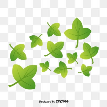 Ivy Leaves Png, Vector, And Clipart With Transparent 360x360 Ivy Leaves Png, Vector, And Clipart With Transparent