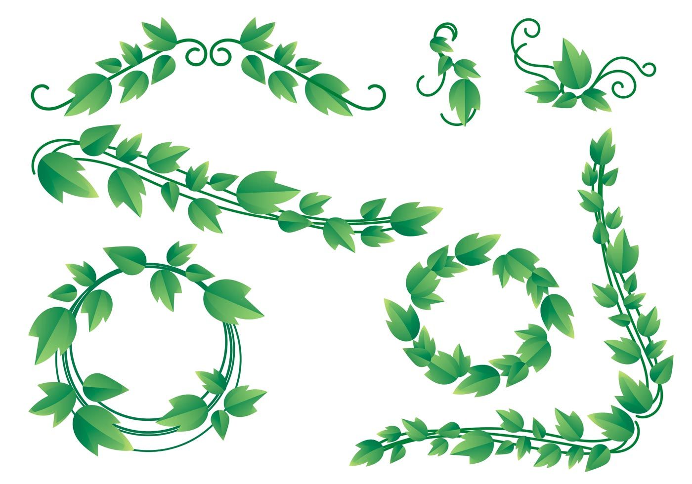 Rendered Ivy Vine Borders And Related Elements Download For Free 1400x980 Rendered Ivy Vine Borders And Related Elements Download For Free