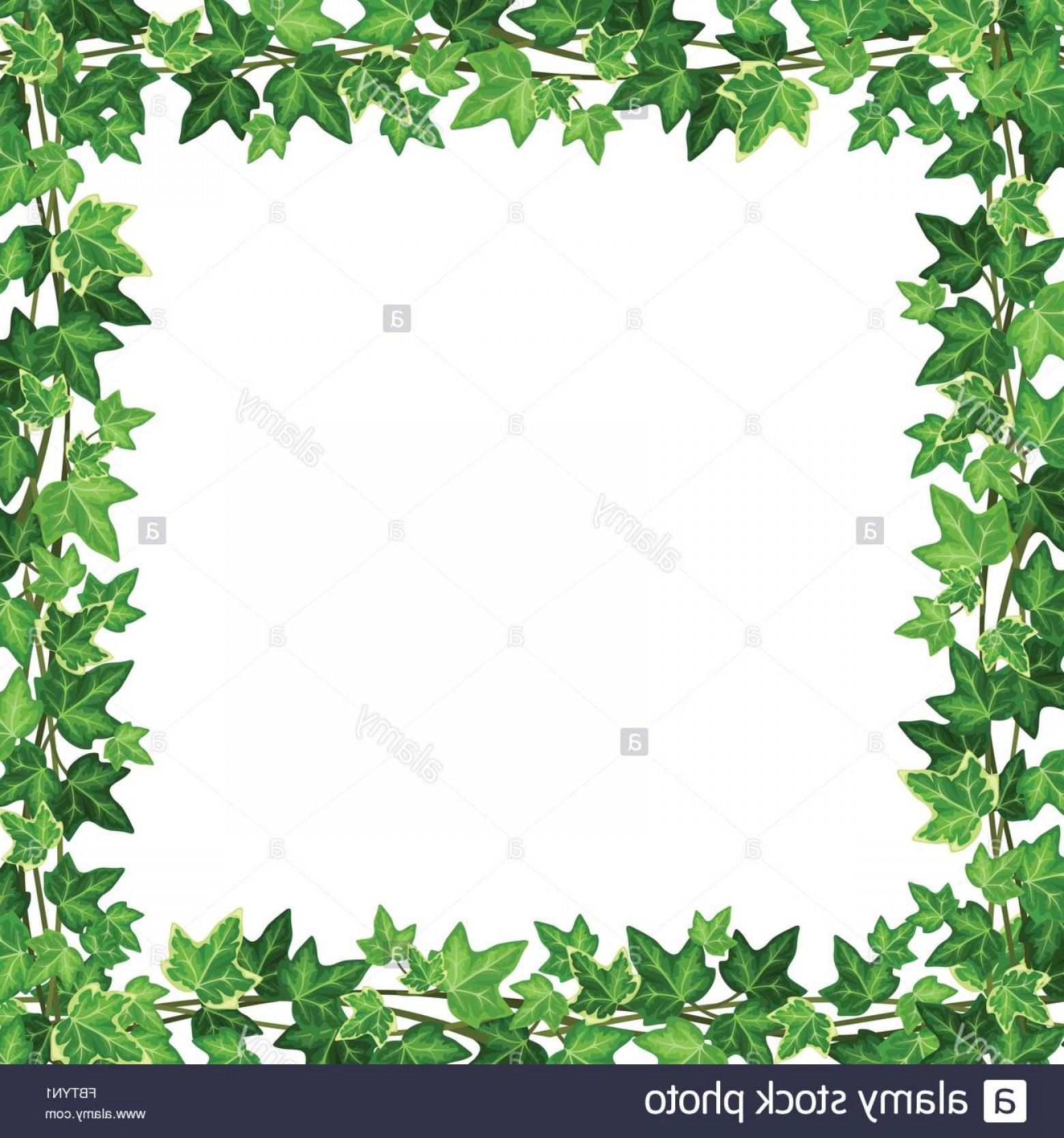 Ivy Leaf Vector at Vectorified.com | Collection of Ivy Leaf Vector free ...