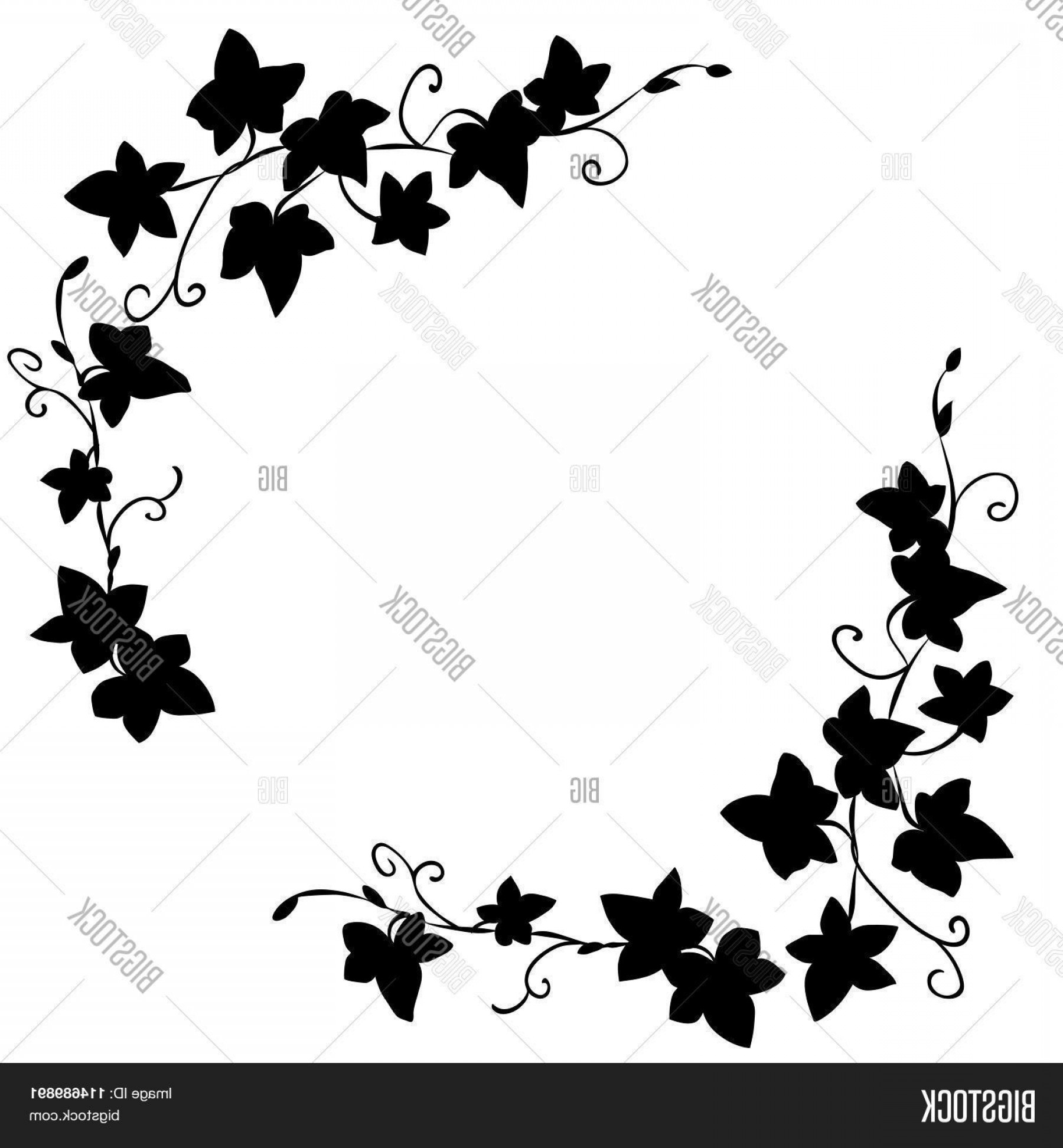 Stock Vector Black Doodle Ivy Leaves Pattern Studiogrfx 1800x1944 Stock Vector Black Doodle Ivy Leaves Pattern Studiogrfx