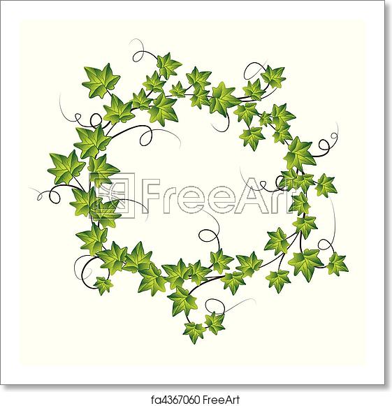 Free Art Print Of Green Ivy Vector Illustration Freeart 561x581 Free Art Print Of Green Ivy Vector Illustration Freeart