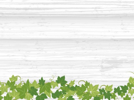 Fresh Ivy Leaf Vector Frame On Wooden Texture Background Royalty 450x338 Fresh Ivy Leaf Vector Frame On Wooden Texture Background Royalty