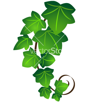Ivy Vector
