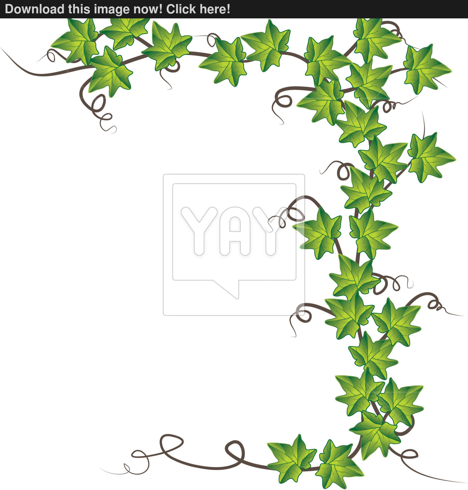 1527x1600 Green Ivy Vector Illustration Vector