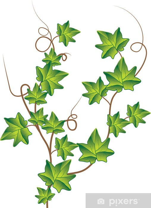 508x700 Green Ivy Vector Illustration Awaiting Validation Wall Mural