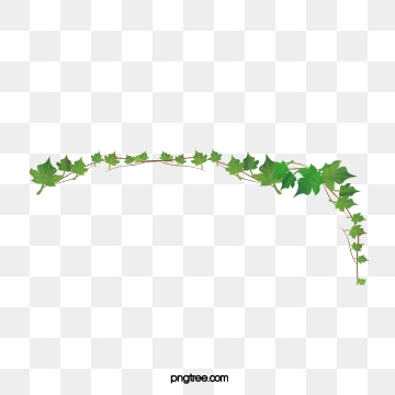 360x360 Ivy Png, Vector, And Clipart With Transparent Background