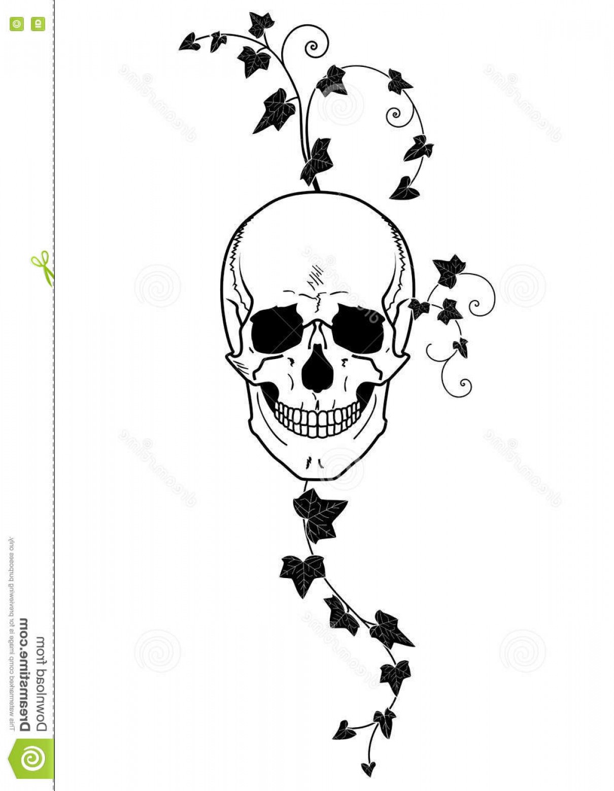 1210x1560 Ivy Vector Black Hoodamath