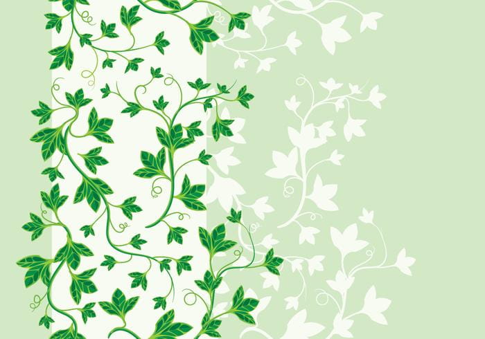 700x490 Beautiful Vector Poison Ivy Vector Free Graphics