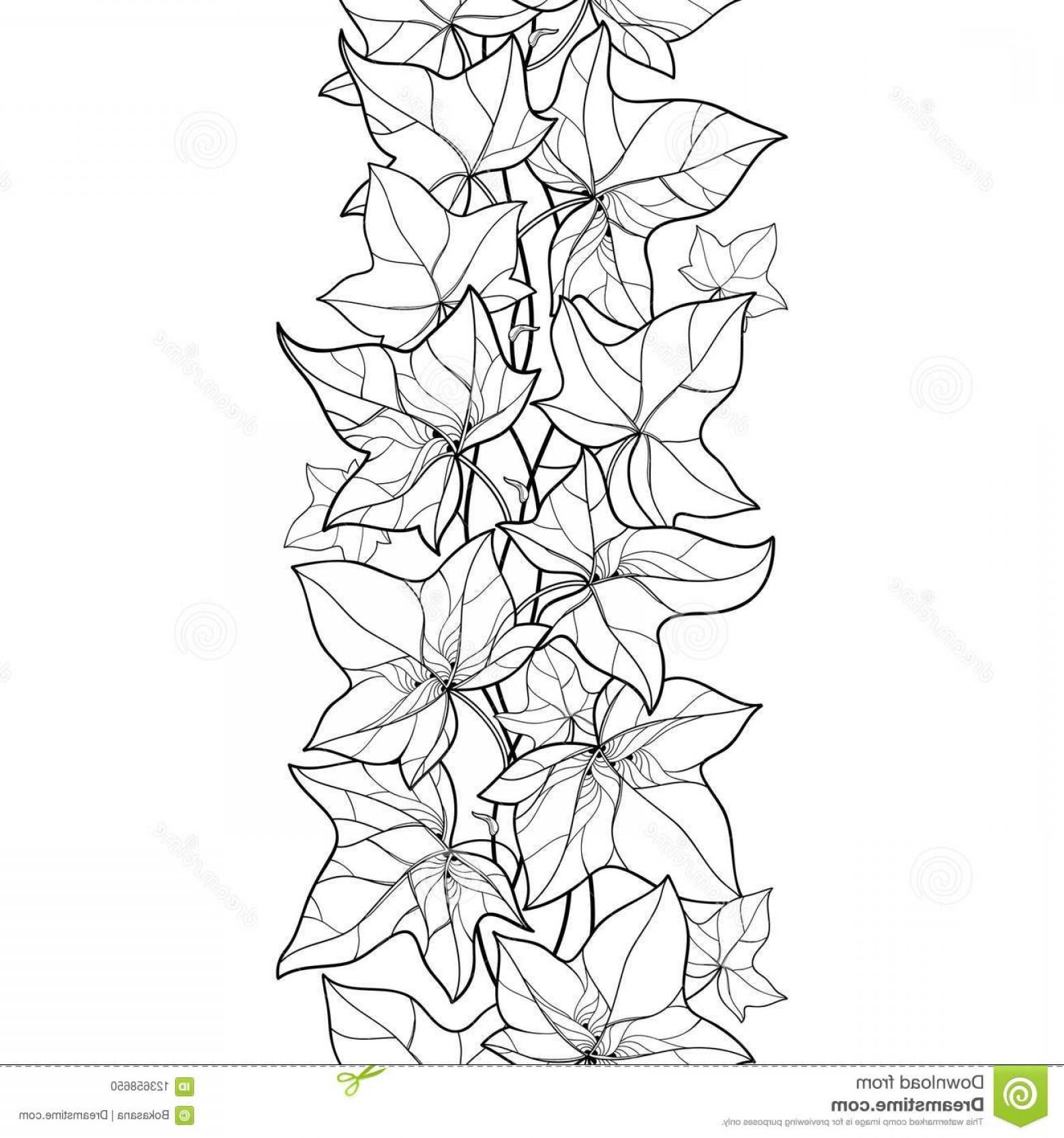 1560x1668 Ivy Vector Black Lamaison
