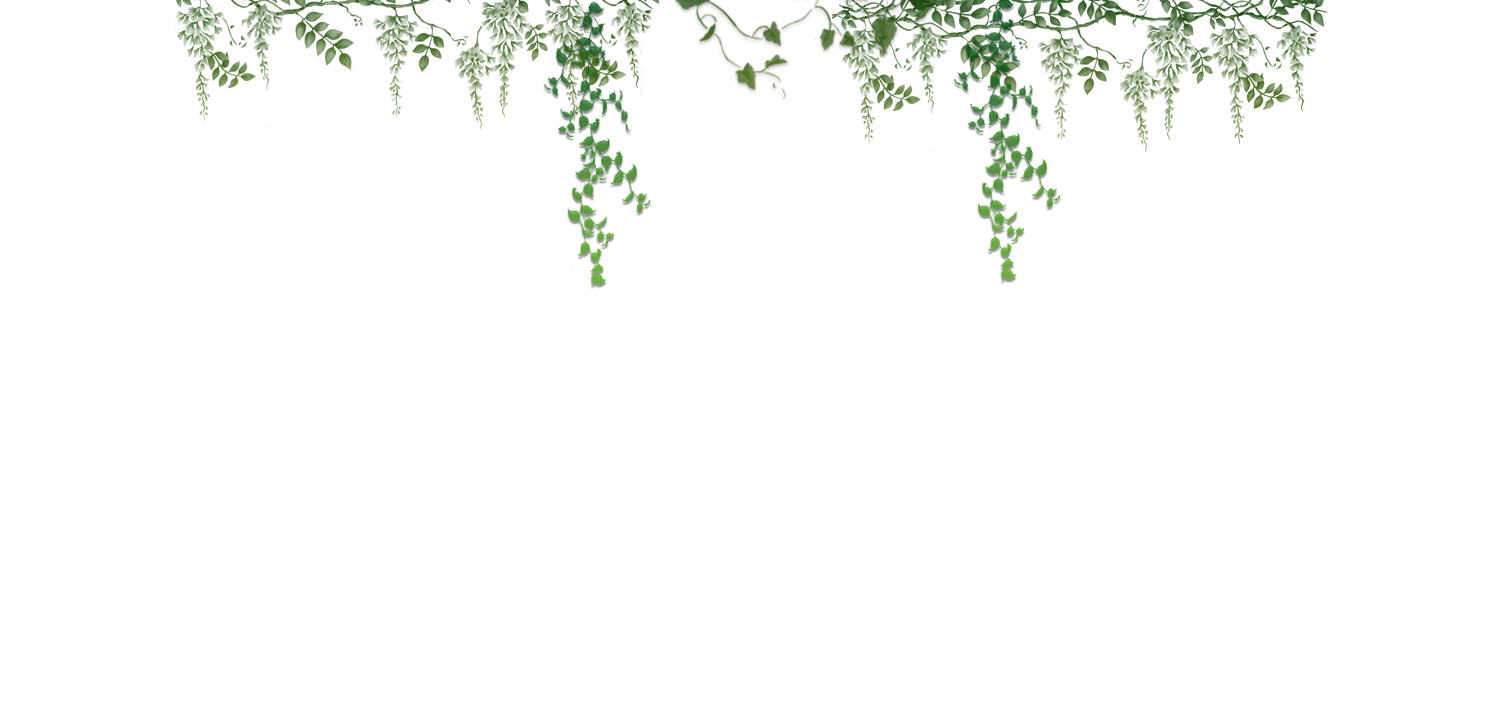 1500x702 Ivy Vector Png