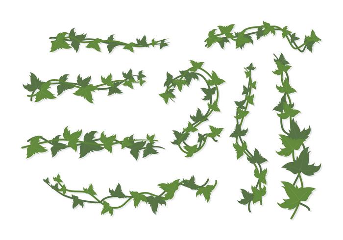 700x490 Poison Ivy Vector