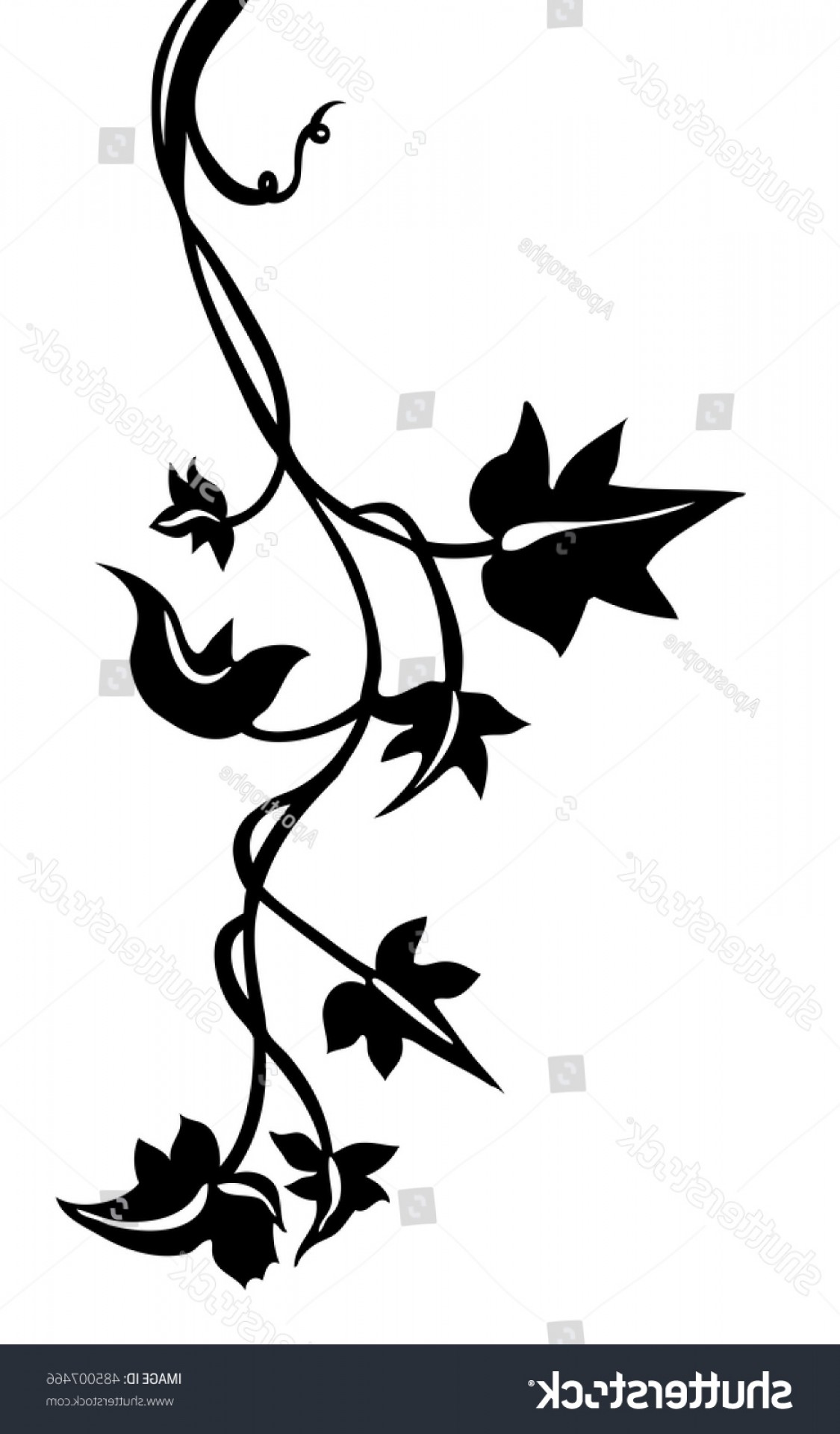 1125x1920 Shutterstock Ivy Vine Silhouette Vector Elegant Studiogrfx