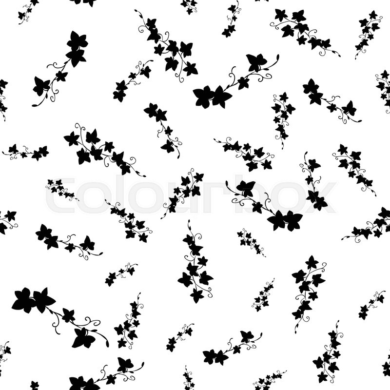 800x800 Black And White Doodle Ivy Leaves Stock Vector Colourbox