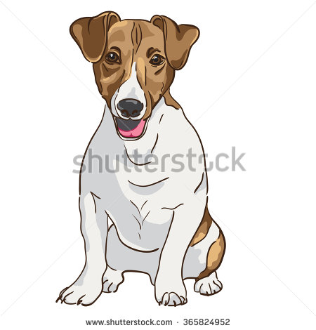 Jack Russell Terrier Vector