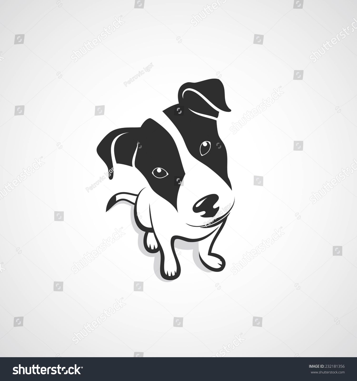 1500x1600 Jack Russell Terrier