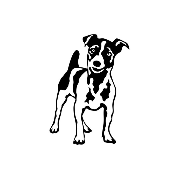 690x690 Jack Russell Terrier Dog Graphics Design