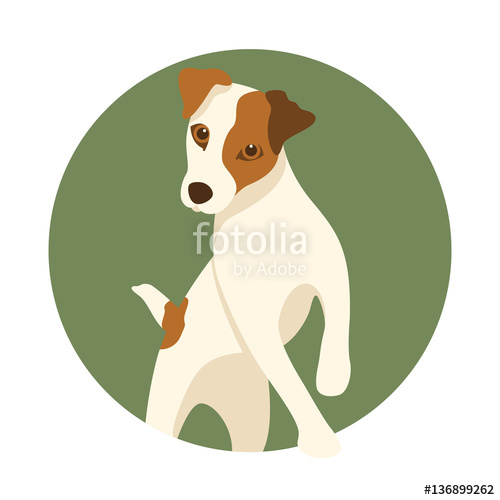 500x500 Jack Russell Dog Vector Illustration Style Flat Stock Image