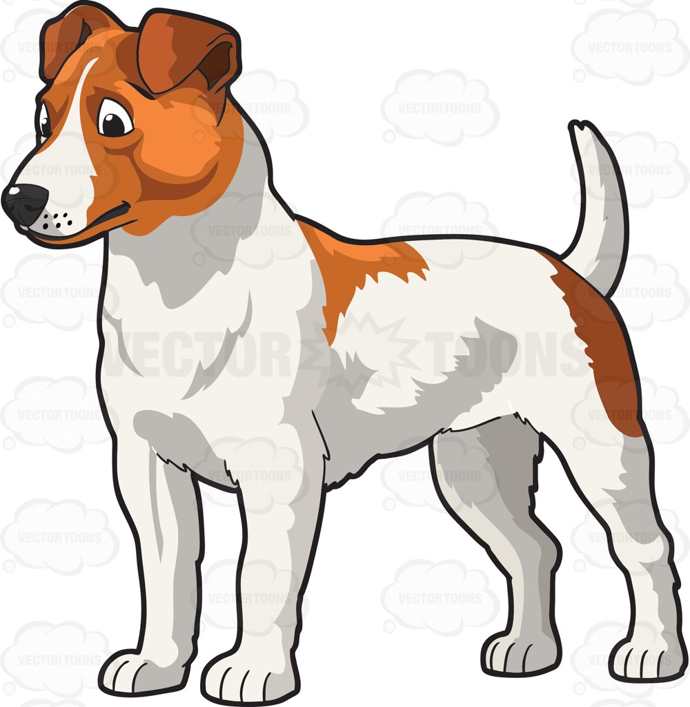 1000x1024 Jack Clipart Russell For Free Download And Use Images