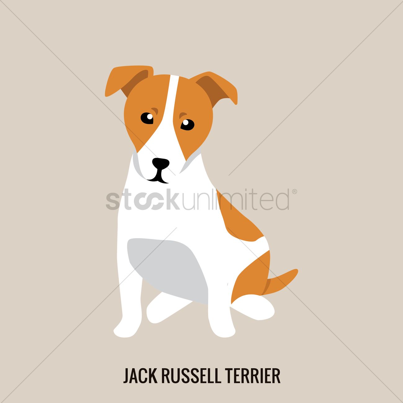 1300x1300 Jack Russell Terrier Vector Image
