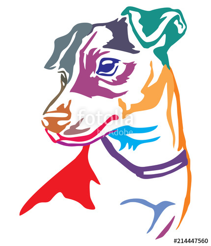 429x500 Colorful Decorative Portrait Of Dog Jack Russell Terrier Vector