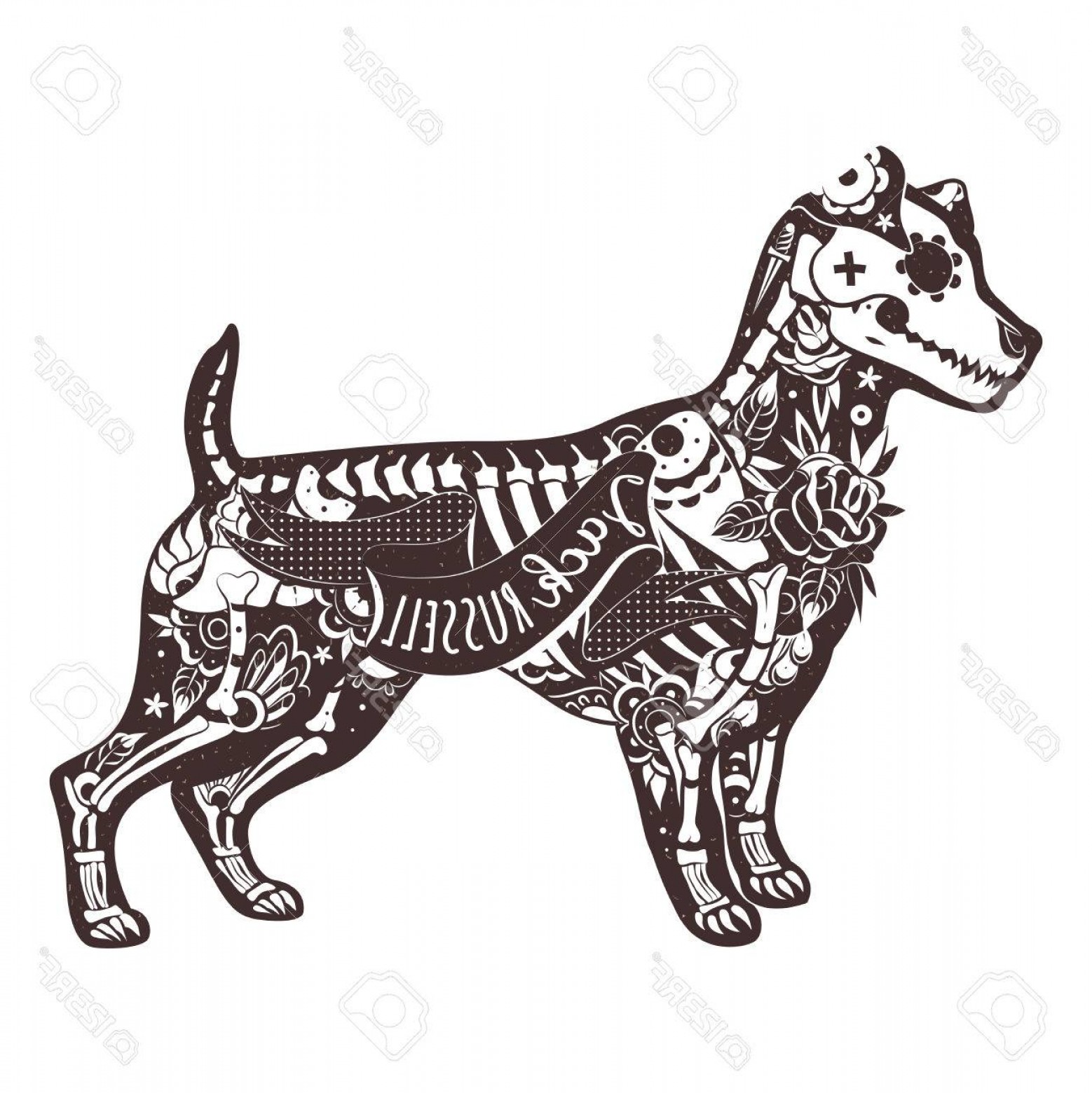 1558x1560 Photostock Vector Stylized Skeleton Jack Russell Terrier Jack