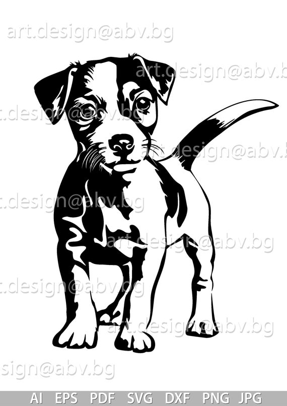 570x806 Vector Jack Russell Terrier Dog Png Pdf Dxf Etsy