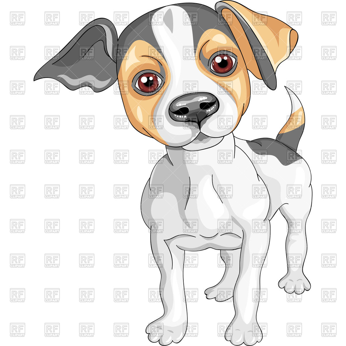 1200x1200 Cute Jack Russell Terrier Puppy Vector Image Of Plants And Animals
