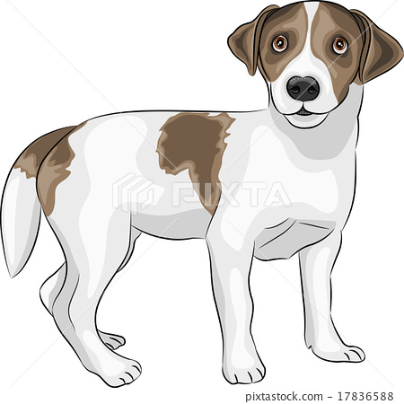 450x450 Vector Jack Russell Terrier