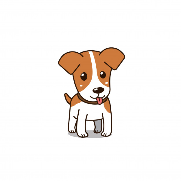 626x626 Cute Jack Russell Terrier Dog Vector Premium Download