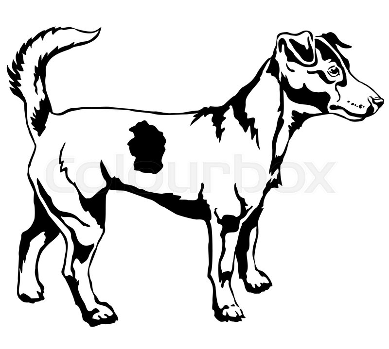 800x719 Decorative Portrait Of Standing In Stock Vector Colourbox