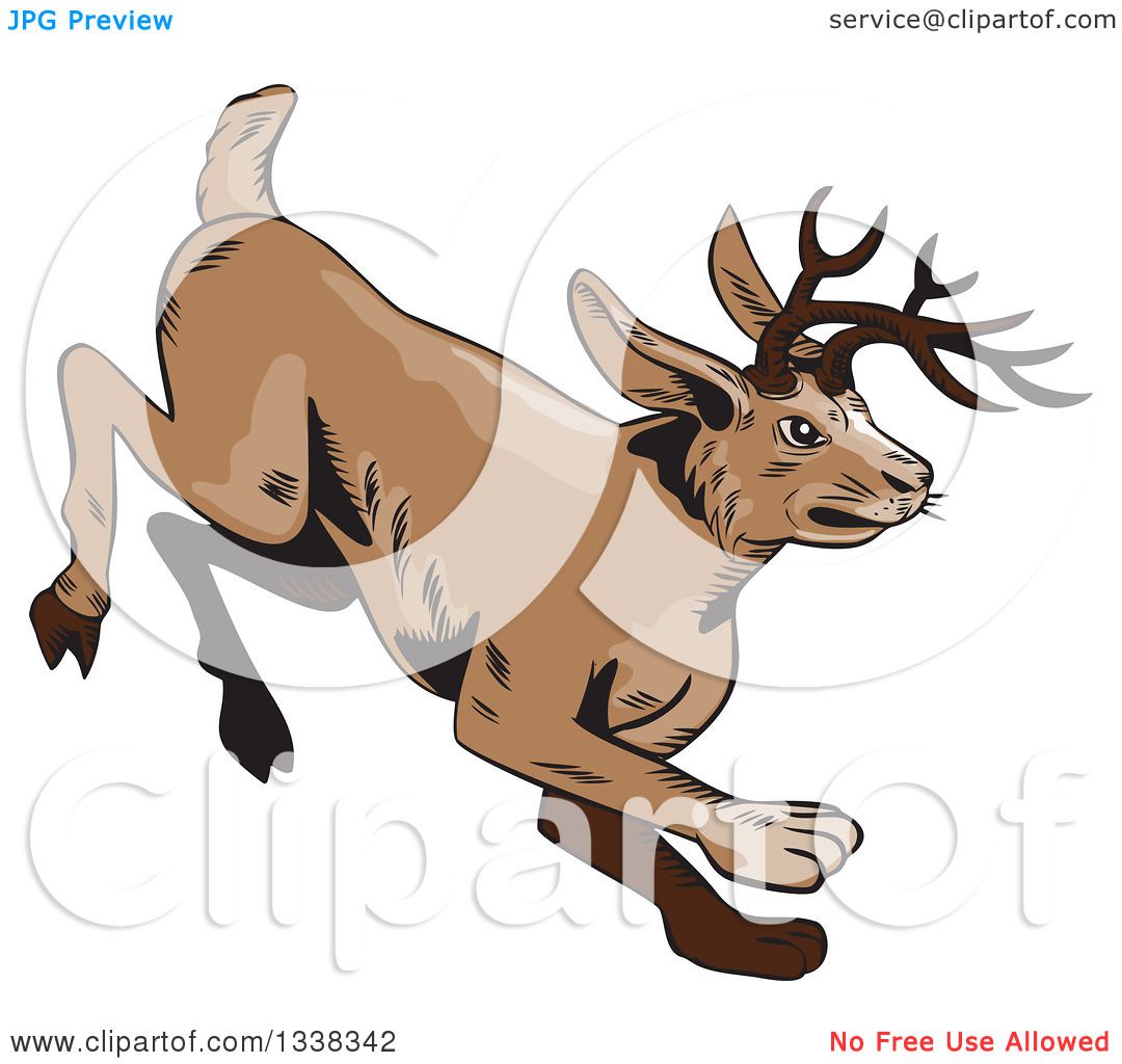 1080x1024 Clipart Of A Sketched Or Engraved Running Jackalope