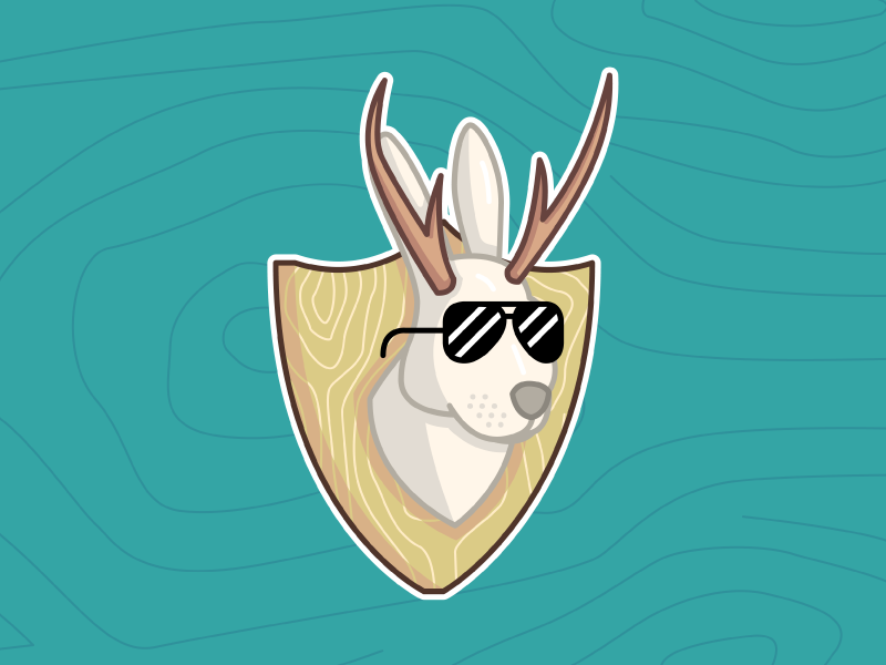 800x600 Cool Jackalope