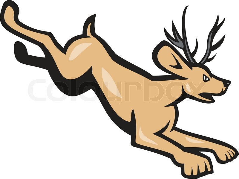800x598 Illustration Of A Jackalope, A Stock Vector Colourbox