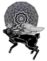 185x240 Search Photos Jackalope