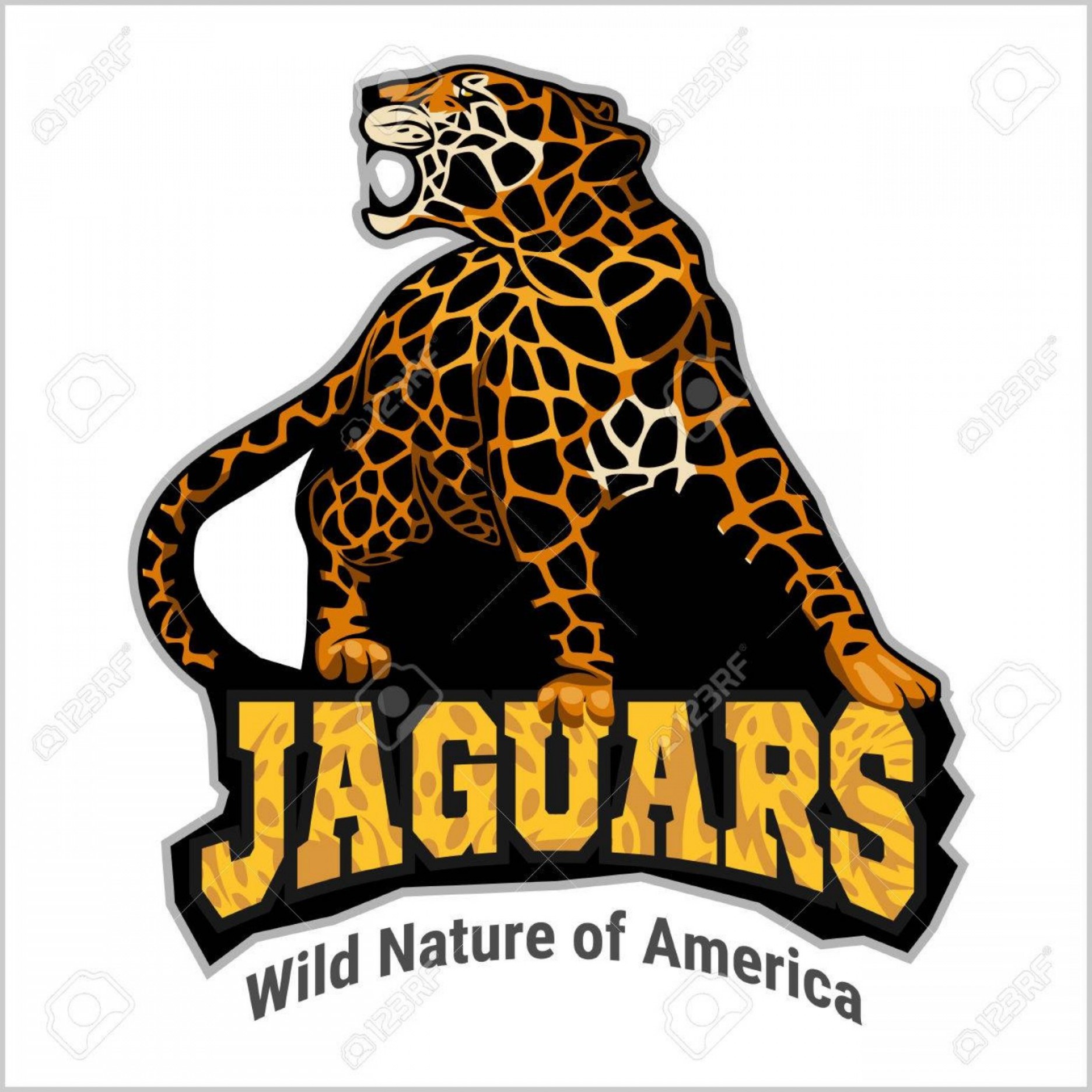 1872x1872 Photostock Vector Jaguar Logo Icon Vector Character Illustration