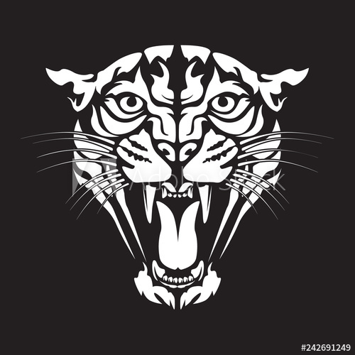 500x500 Leopard Angry Face Tattoo Vector Illustration Of Jaguar Head