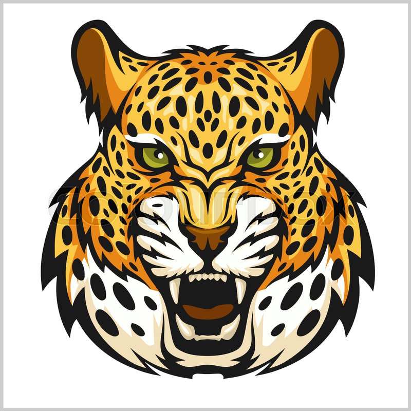 800x800 Vector Jaguar Portrait Jaguar Head Stock Vector Colourbox