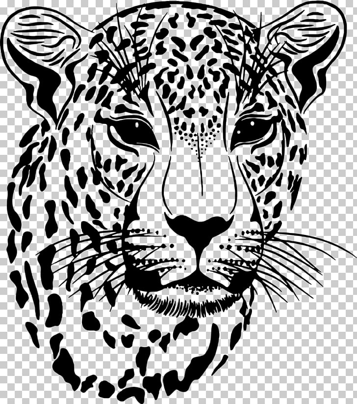 728x822 Clouded Leopard Jaguar, Tiger Leopard Illustration Png Clipart