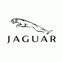 200x200 Jaguar Brands Of The Download Vector Logos And Logotypes