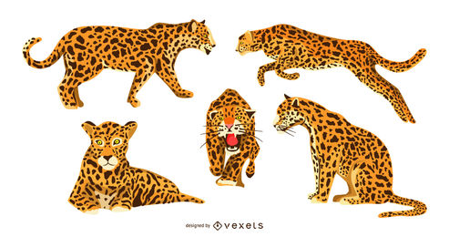 Jaguar Vector Graphics To Download 493x260 Jaguar Vector Graphics To Download